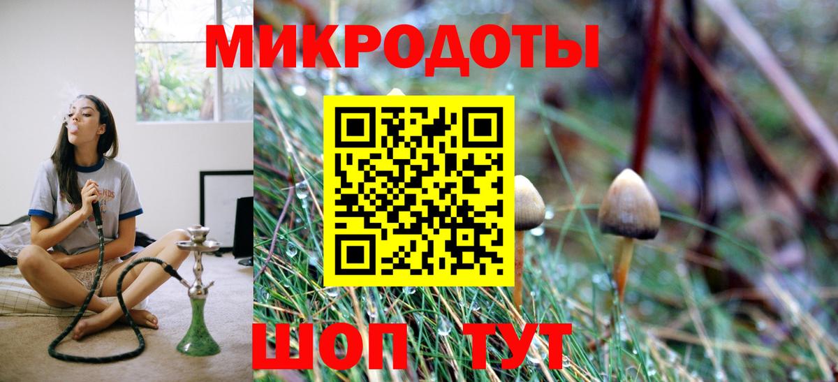 Псилоцибиновые грибы Cubensis  Вход с VPN  Южно-Сахалинск  хочу наркоту  Галлюциногенные грибы мухоморы 